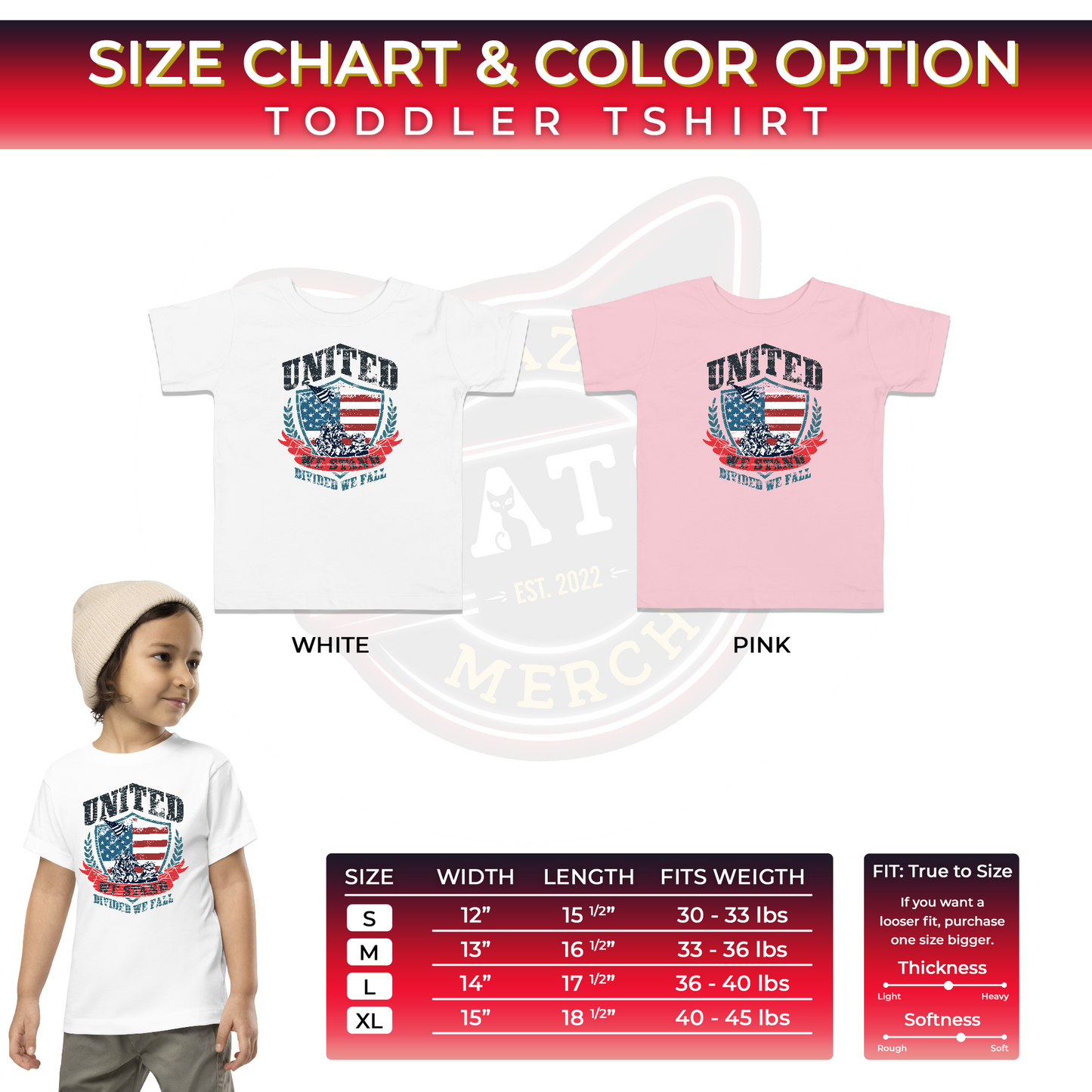 USA Flag Shield United We Stand Divided We Fall Kids Light Shirt