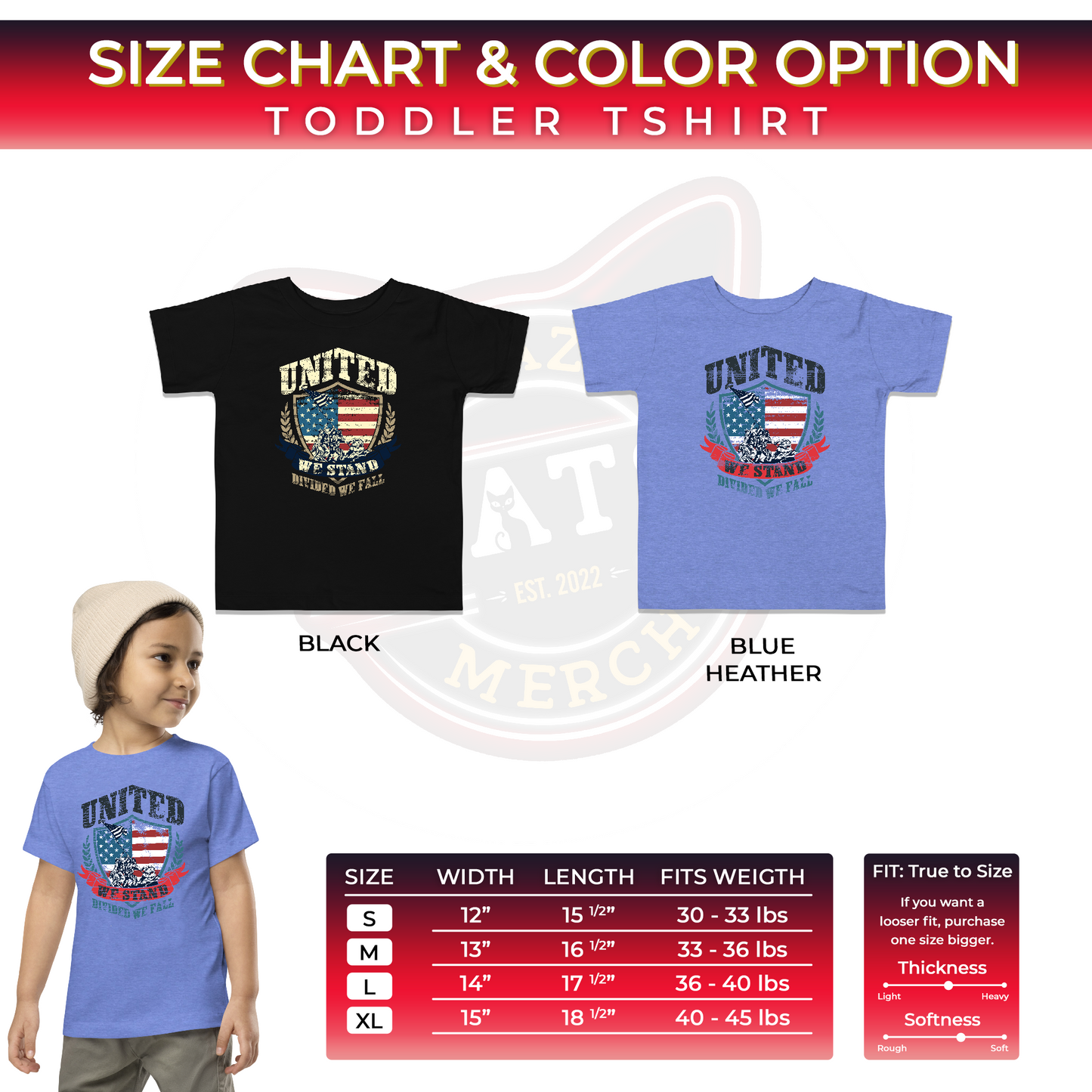 USA Flag Shield United We Stand Divided We Fall Kids Dark Shirt