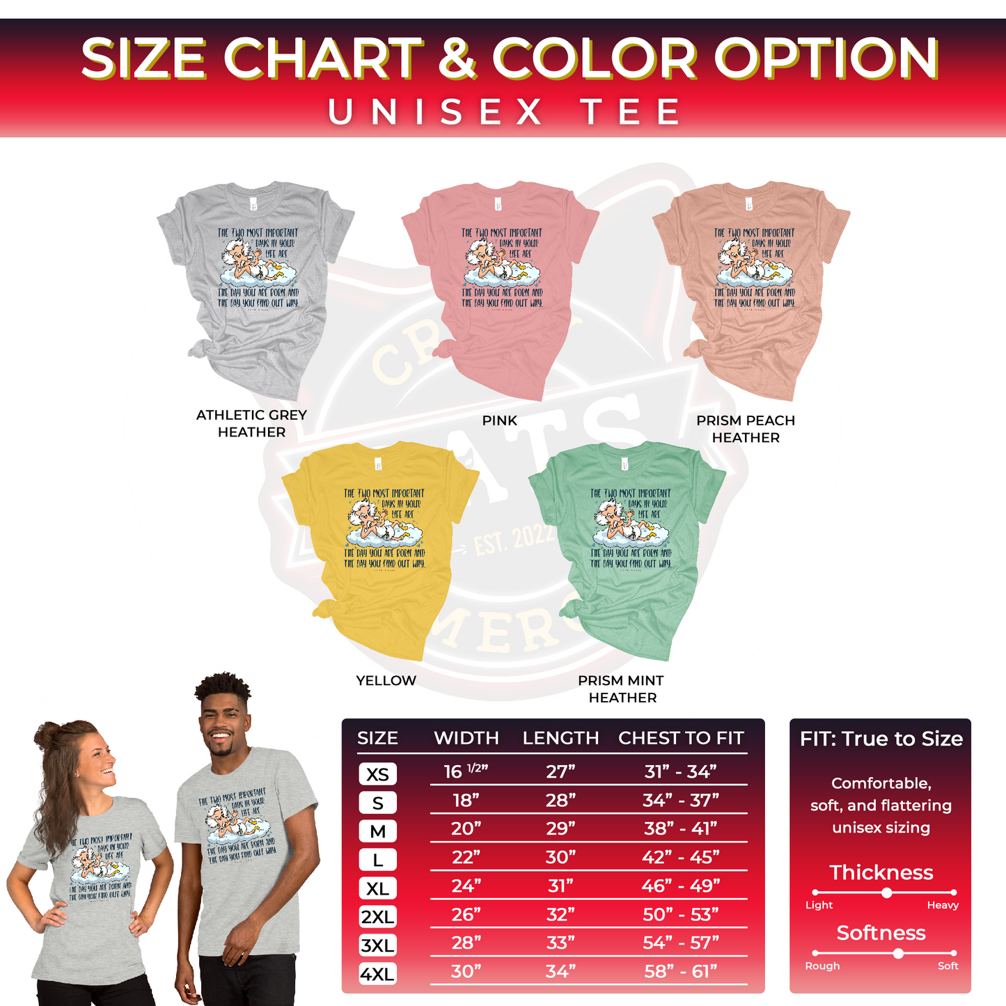Mark Twain Two Most Important Days In Your Life Unisex Light Shirt