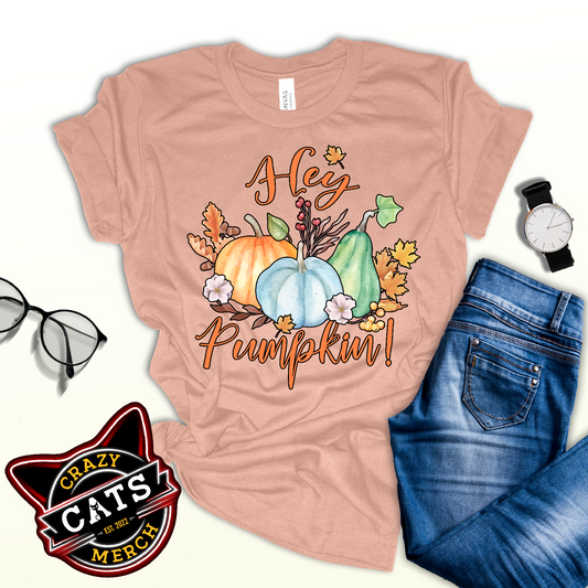 Hey Pumpkin Fall Thanksgiving Patch Unisex Light Shirt