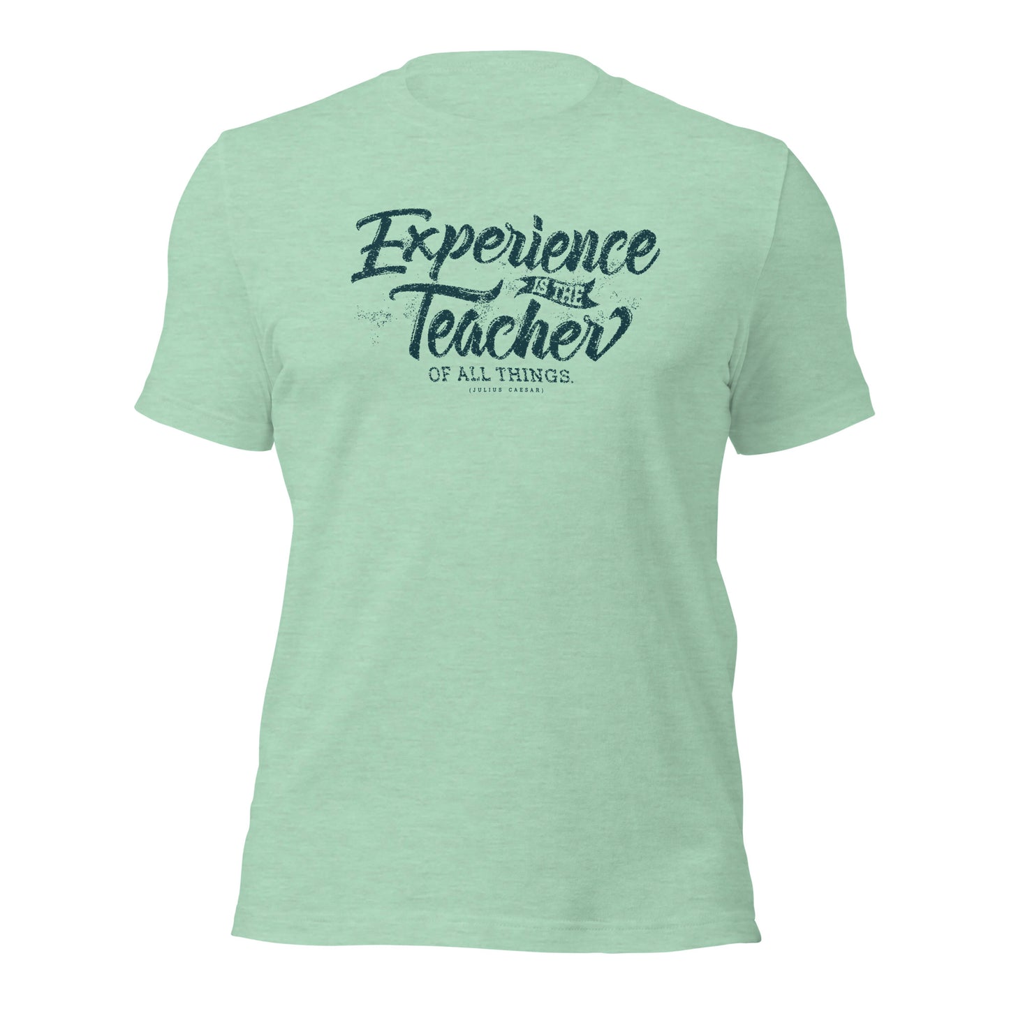 Experience Is The Teacher Of All Things Unisex Light Shirt