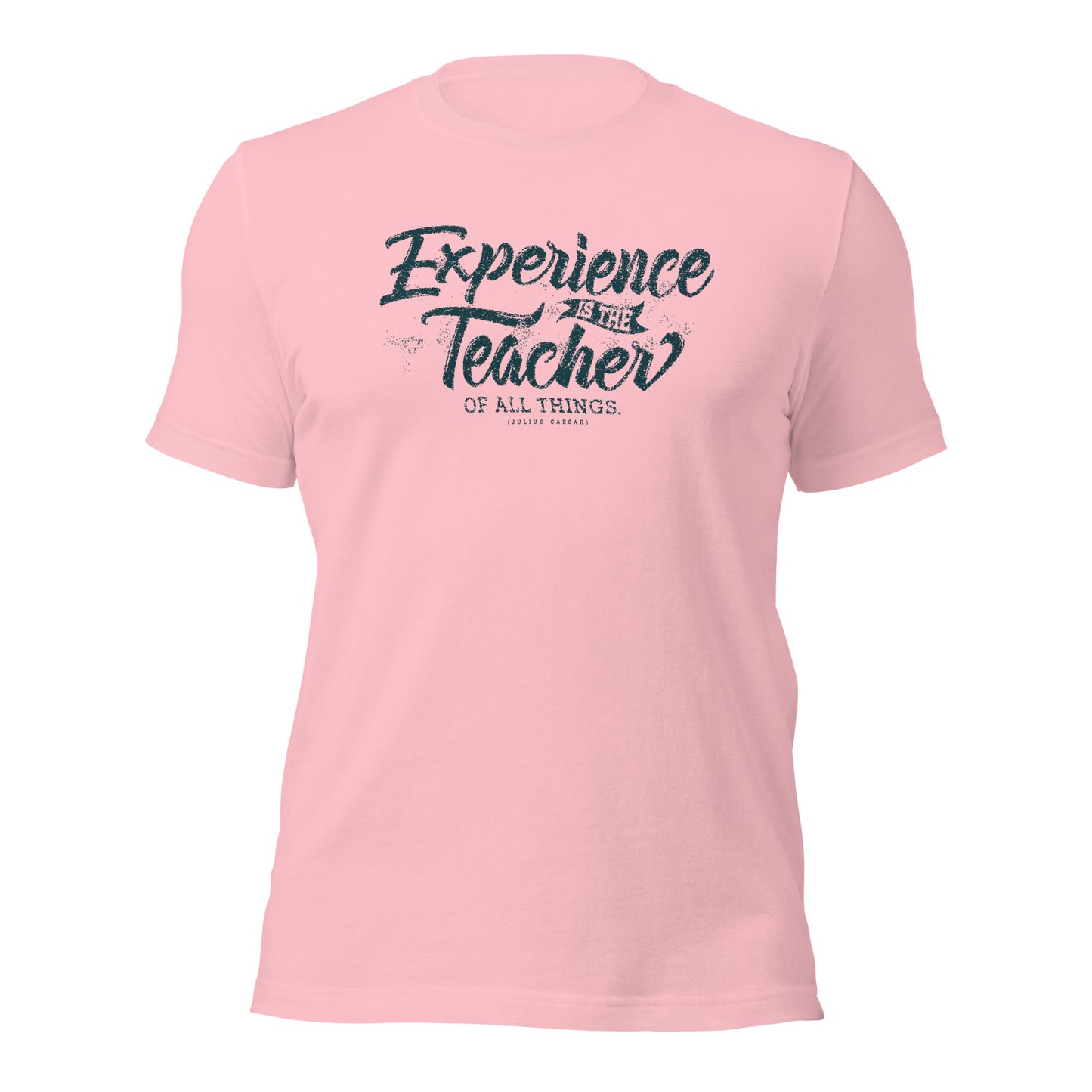 Experience Is The Teacher Of All Things Unisex Light Shirt