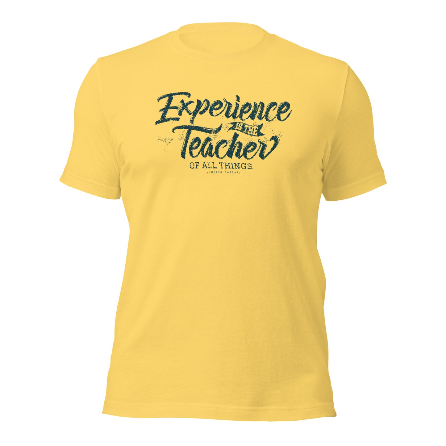 Experience Is The Teacher Of All Things Unisex Light Shirt